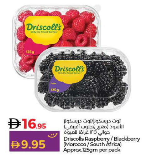 Raspberry Blackberry from Morocco South Africa available at لولو هايبرماركت in الإمارات العربية المتحدة , الامارات - دبي