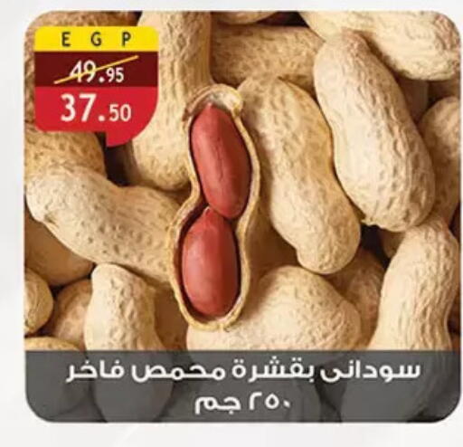 available at الرايه  ماركت in Egypt - القاهرة