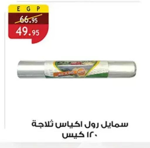 available at الرايه  ماركت in Egypt - القاهرة