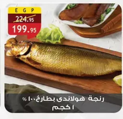 available at Al Rayah Market   in Egypt - Cairo