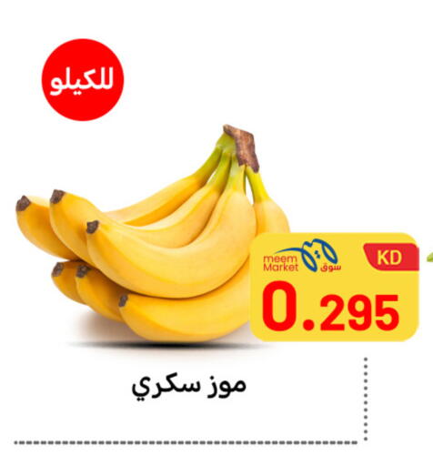 available at Meem Central Market Co in Kuwait - Ahmadi Governorate