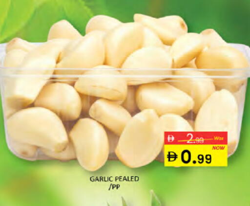 Garlic available at المدينة in الإمارات العربية المتحدة , الامارات - دبي