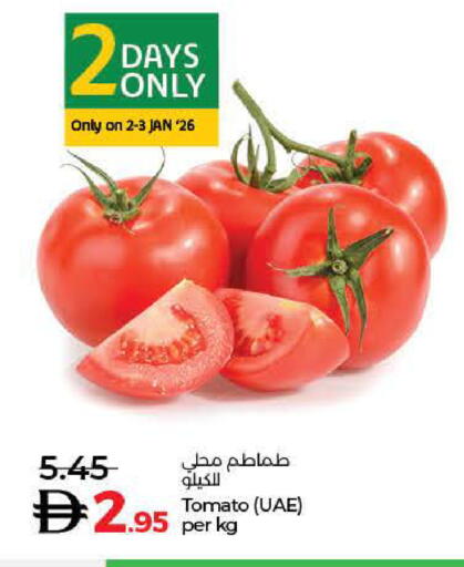 Tomato available at Lulu Hypermarket in UAE - Dubai