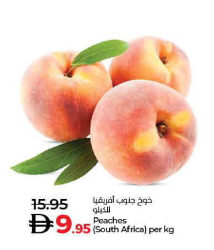 from South Africa available at Lulu Hypermarket in UAE - Ras al Khaimah