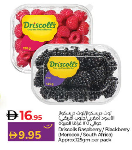 Raspberry Blackberry from Morocco South Africa available at Lulu Hypermarket in UAE - Abu Dhabi