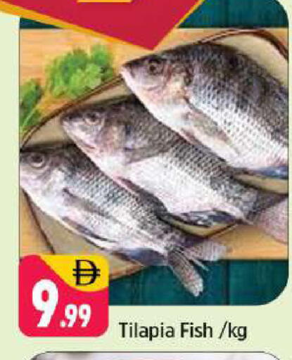 available at شكلان ماركت in الإمارات العربية المتحدة , الامارات - دبي