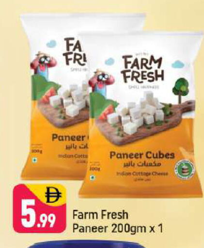 available at شكلان ماركت in الإمارات العربية المتحدة , الامارات - دبي