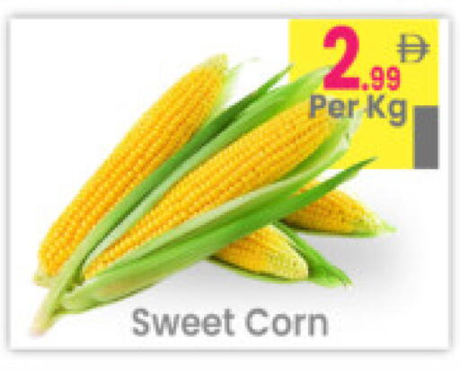 available at مركز كل يوم in الإمارات العربية المتحدة , الامارات - رَأْس ٱلْخَيْمَة