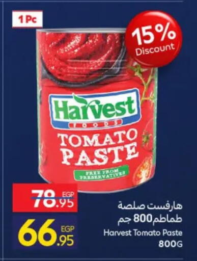 Tomato available at Carrefour  in Egypt - Cairo