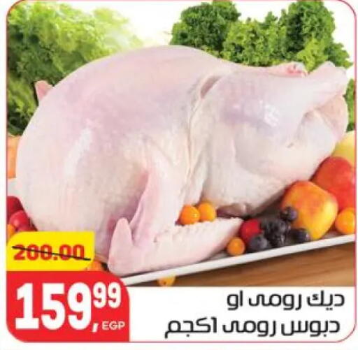 available at هايبر المنصورة in Egypt - القاهرة