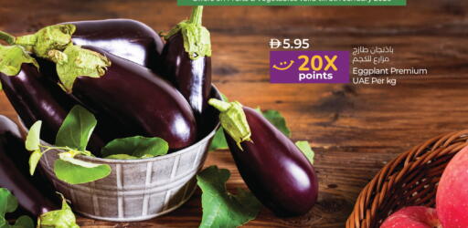 Eggplant available at Lulu Hypermarket in UAE - Dubai