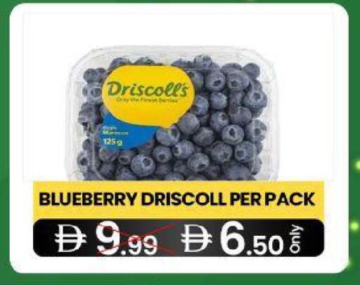 Blueberry BlueBerry available at  ELITE BASKET SUPERMARKET L.L.C. SP in UAE - Sharjah / Ajman