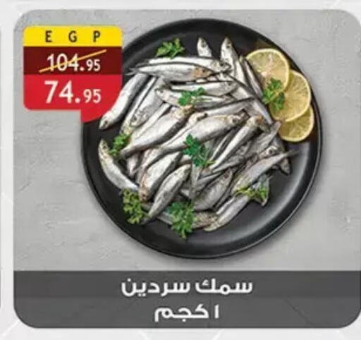 available at الرايه  ماركت in Egypt - القاهرة