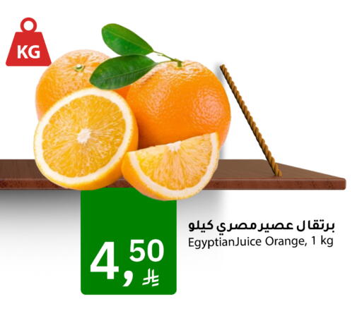 Orange available at Meem Market  in KSA, Saudi Arabia, Saudi - Al Hasa