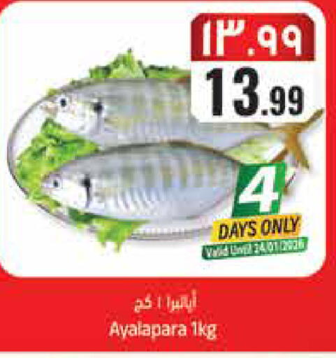 available at ستي فلاور in مملكة العربية السعودية, السعودية, سعودية - سكاكا