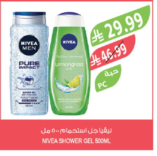 Lemongrass available at Farm  in KSA, Saudi Arabia, Saudi - Khafji