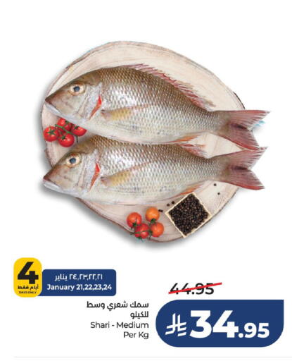 available at لولو هايبرماركت in مملكة العربية السعودية, السعودية, سعودية - حفر الباطن