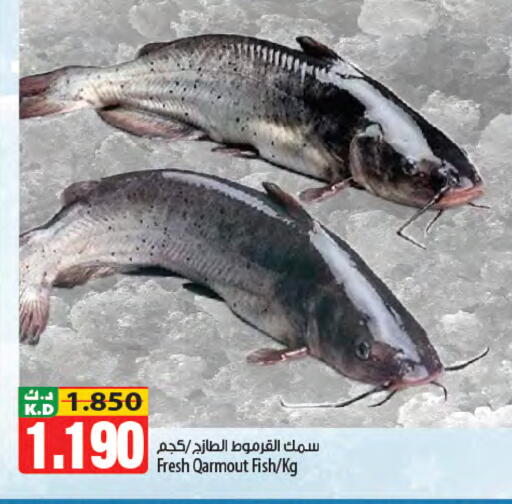 Mango available at Mango Hypermarket  in Kuwait - Ahmadi Governorate