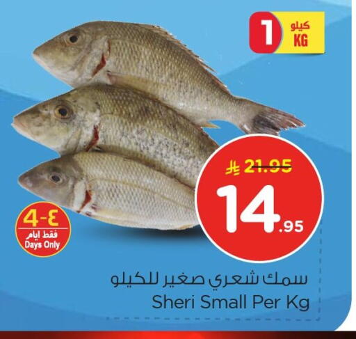 available at نستو in مملكة العربية السعودية, السعودية, سعودية - المنطقة الشرقية