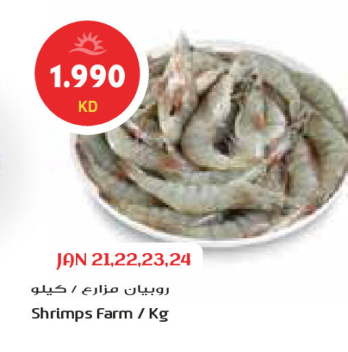 available at Grand Costo in Kuwait - Ahmadi Governorate