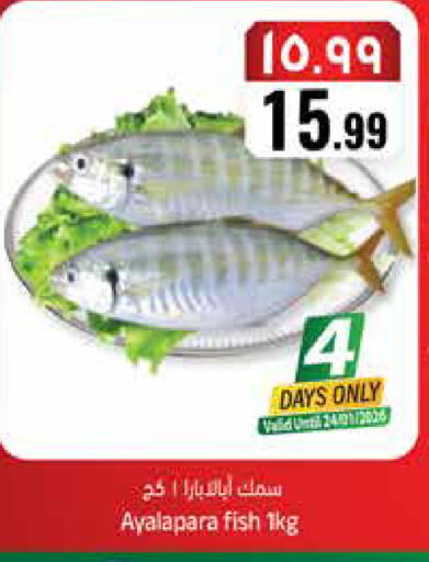 available at City Flower in KSA, Saudi Arabia, Saudi - Riyadh