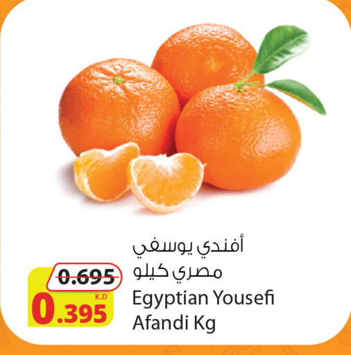 from Egypt available at شركة المنتجات الزراعية الغذائية in الكويت - محافظة الأحمدي