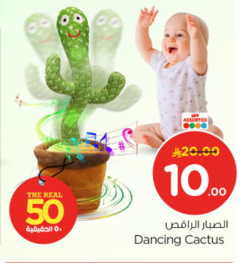 available at نستو in مملكة العربية السعودية, السعودية, سعودية - بريدة