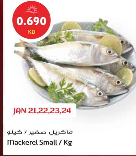 available at Grand Hyper in Kuwait - Ahmadi Governorate