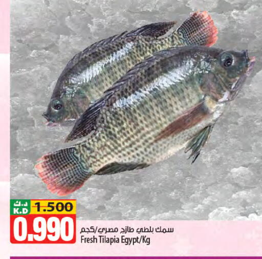 Mango available at مانجو هايبرماركت in الكويت - محافظة الجهراء