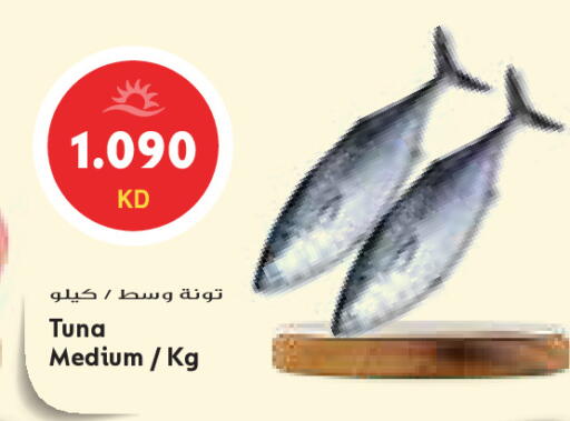 available at جراند كوستو in الكويت - مدينة الكويت