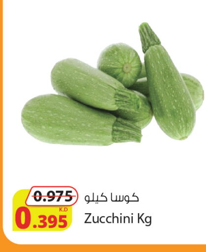 Zucchini available at شركة المنتجات الزراعية الغذائية in الكويت - مدينة الكويت