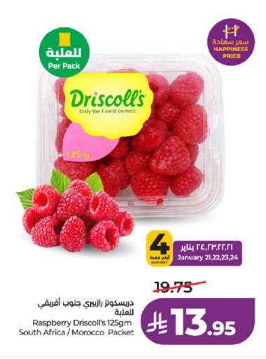Raspberry from South Africa Morocco available at LULU Hypermarket in KSA, Saudi Arabia, Saudi - Khamis Mushait
