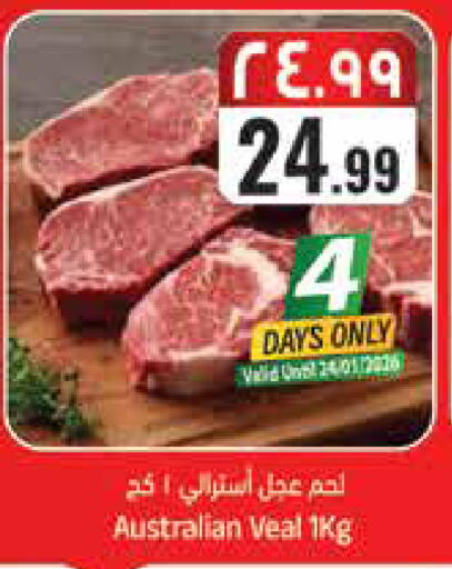 available at ستي فلاور in مملكة العربية السعودية, السعودية, سعودية - سكاكا