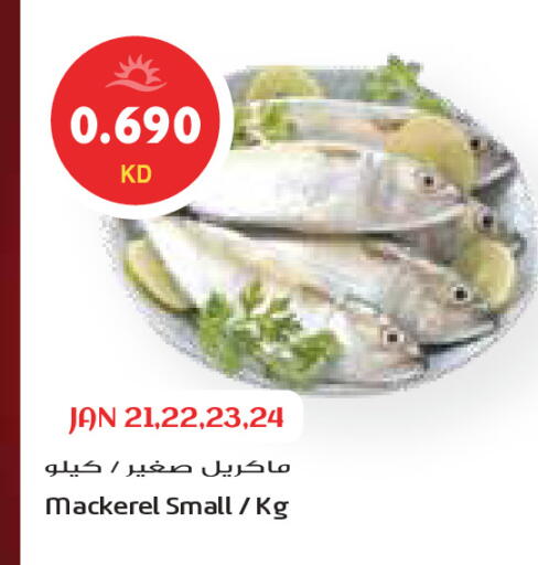 available at Grand Costo in Kuwait - Ahmadi Governorate