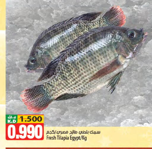 Mango available at مانجو هايبرماركت in الكويت - مدينة الكويت