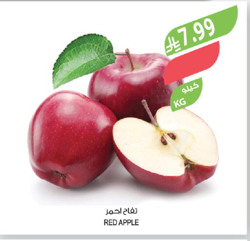 Apple available at Farm  in KSA, Saudi Arabia, Saudi - Abha