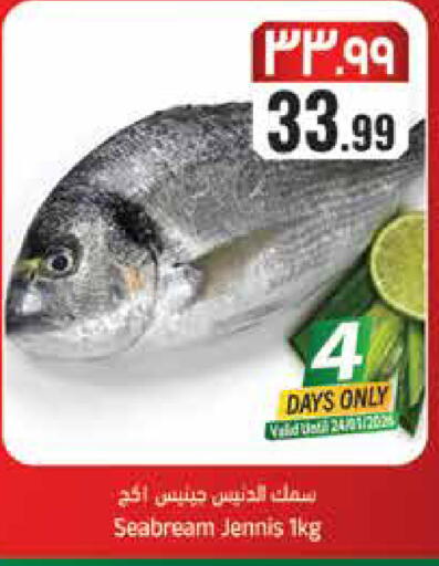 available at City Flower in KSA, Saudi Arabia, Saudi - Hail