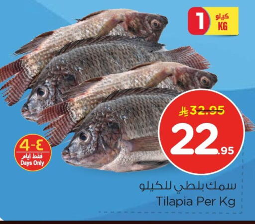 available at نستو in مملكة العربية السعودية, السعودية, سعودية - المنطقة الشرقية