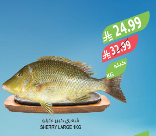 available at Farm  in KSA, Saudi Arabia, Saudi - Qatif