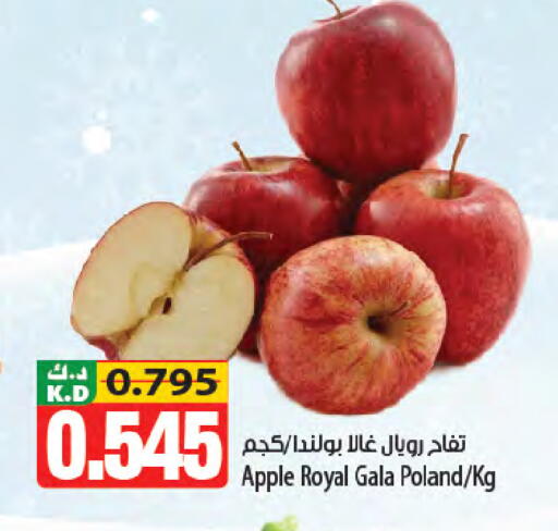 Apple Mango from Poland available at Mango Hypermarket  in Kuwait - Kuwait City