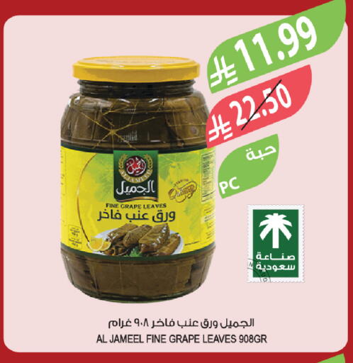 available at المزرعة in مملكة العربية السعودية, السعودية, سعودية - الخفجي