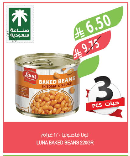 Tomato available at Farm  in KSA, Saudi Arabia, Saudi - Najran