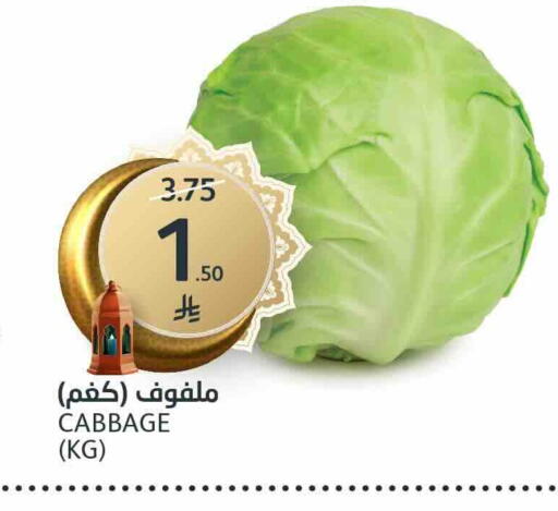 Cabbage available at AlJazera Shopping Center in KSA, Saudi Arabia, Saudi - Riyadh