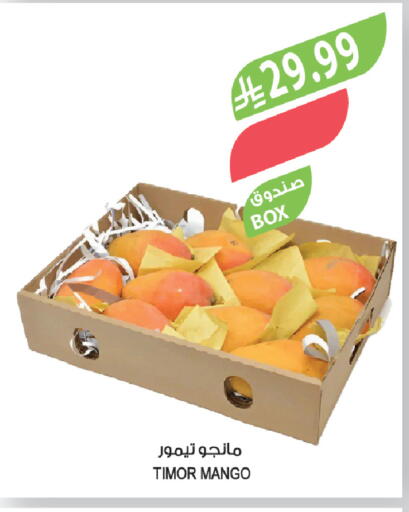 Mango available at Farm  in KSA, Saudi Arabia, Saudi - Al Khobar