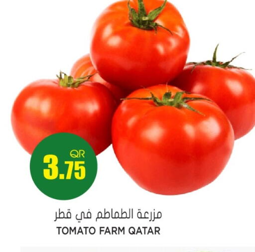 Tomato from Qatar available at Grand Hypermarket in Qatar - Umm Salal