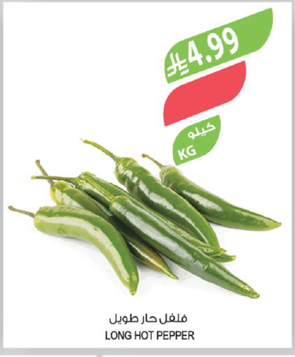 Pepper available at Farm  in KSA, Saudi Arabia, Saudi - Arar