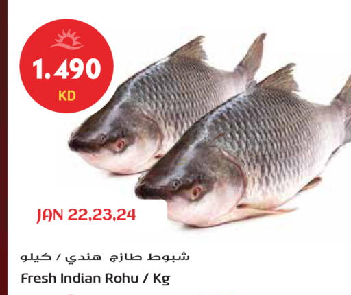 available at جراند هايبر in الكويت - محافظة الجهراء