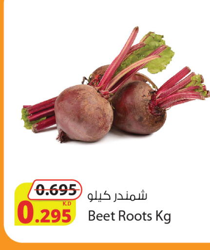 available at شركة المنتجات الزراعية الغذائية in الكويت - محافظة الأحمدي