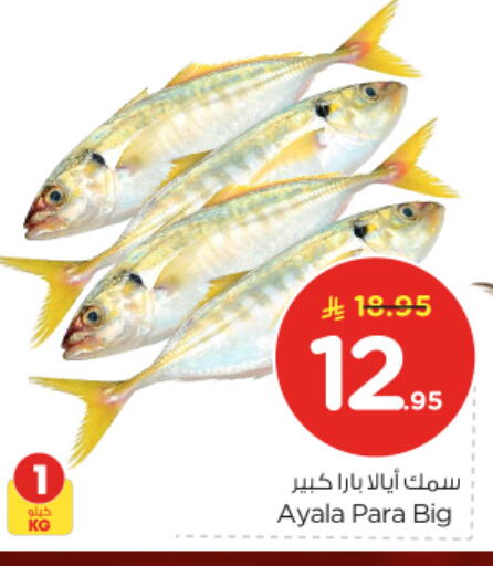 available at نستو in مملكة العربية السعودية, السعودية, سعودية - الرياض