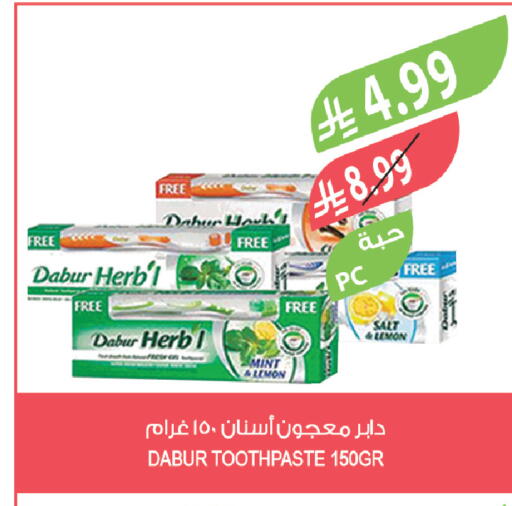 Lemon Mint available at Farm  in KSA, Saudi Arabia, Saudi - Saihat